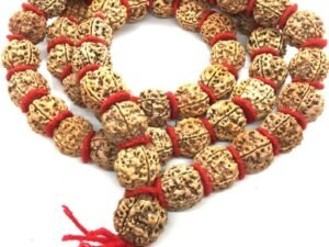 Five Mukhi Rudraksha Mala