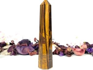 Tiger Eye Pencil Tower Point