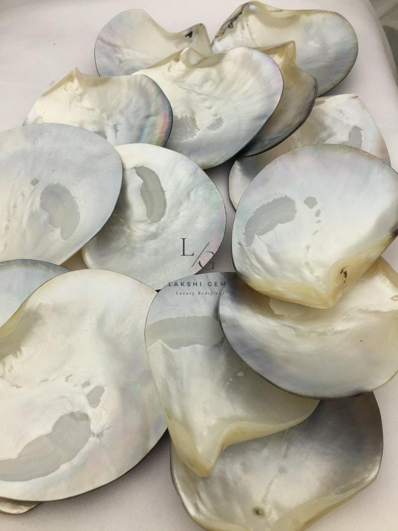 Mother of Pearl Sea Shell - Image 2