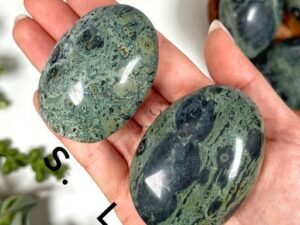Kambaba Jasper Healing Crystal Palm Stone