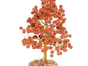 Five Mukhi Nepali Rudraksha Tree