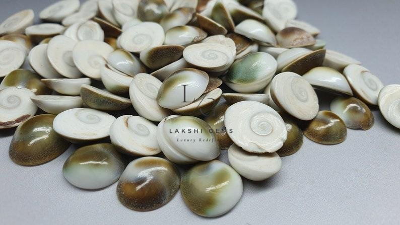 Gomti Chakra for Evil Eye - Image 2