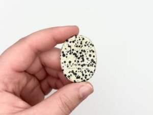 Dalmatian Jasper Worry Stone