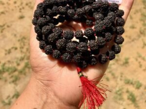 Black Rudraksha Mala