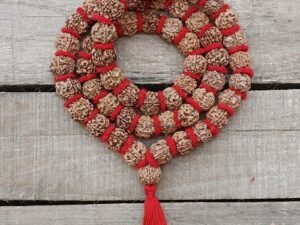 Rudraksha Kanthi Mala