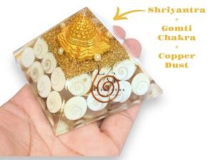 Gomti Chakra Orgone Pyramid with Tortoise