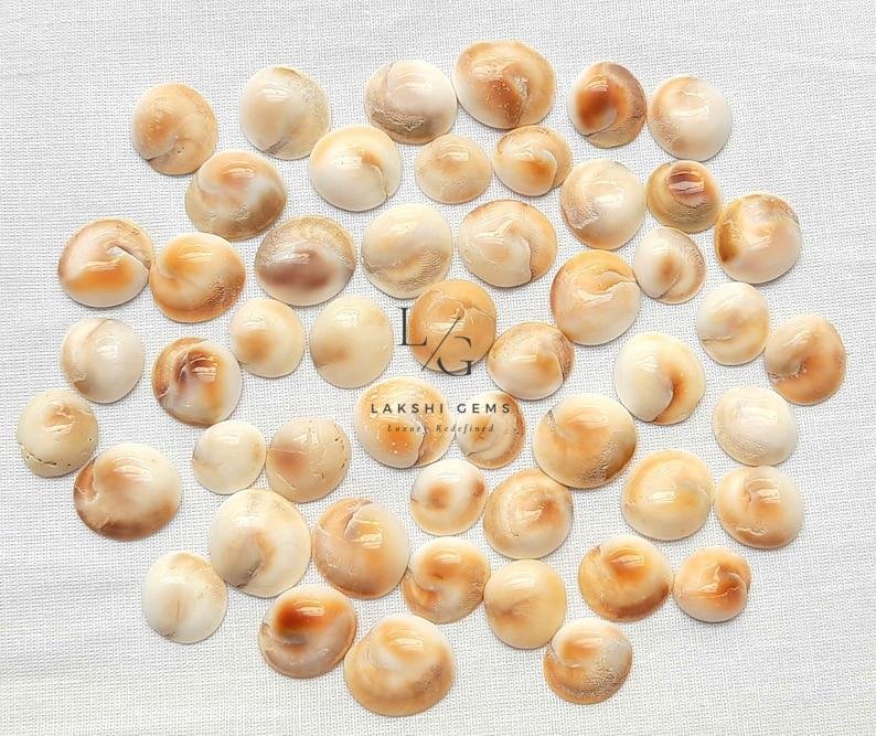 Gomti Chakra - Small - Image 4