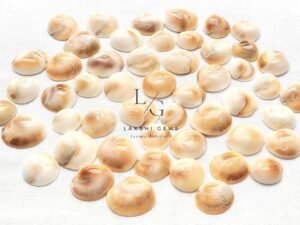 Gomti Chakra - Small