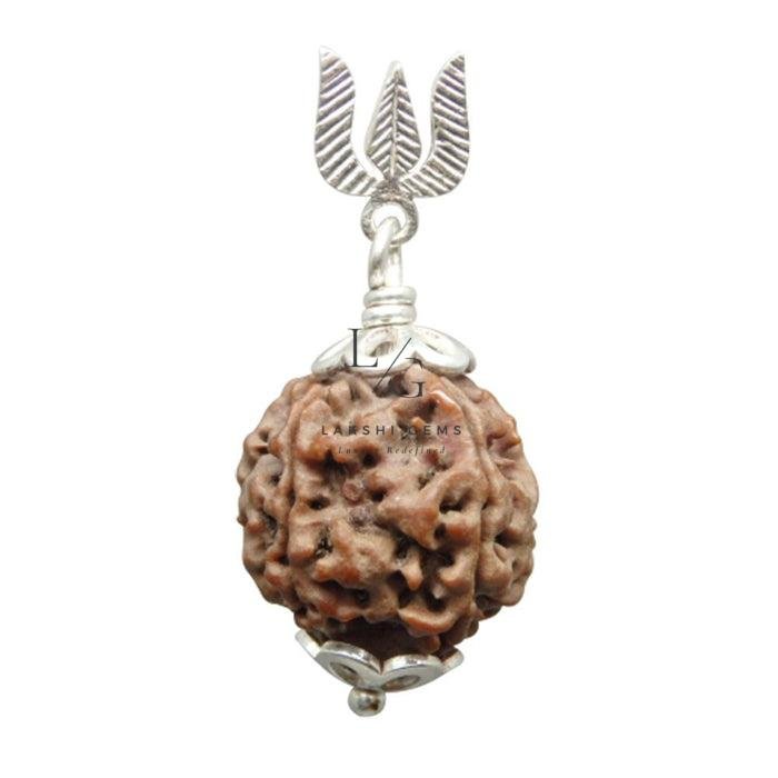 5 Mukhi Rudraksha - Indonesia