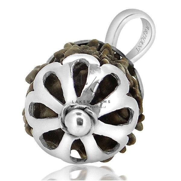 3 Faced Rudraksha - Nepal - Image 2