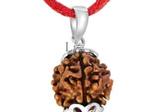 4 Mukhi Rudraksha - Indonesia