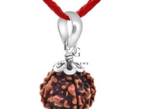 5 Faced Rudraksha