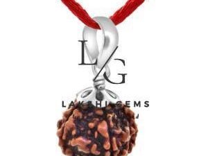 Five Mukhi Premium Rare