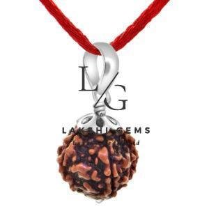 Five Mukhi Premium Rare