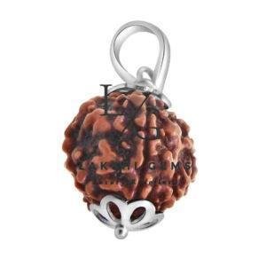 Five Mukhi Premium Rare - Image 3