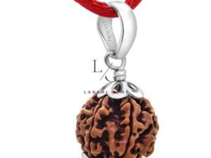 6 Mukhi Rudraksha - Indonesia