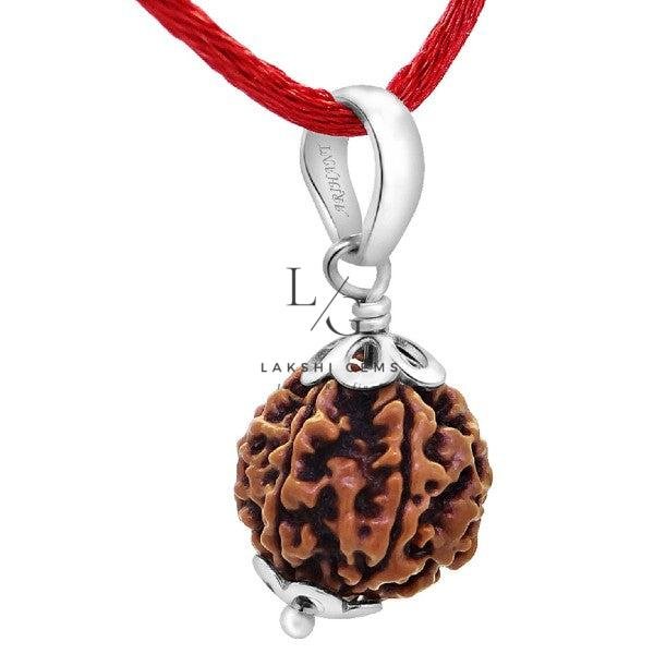 6 Mukhi Rudraksha - Indonesia
