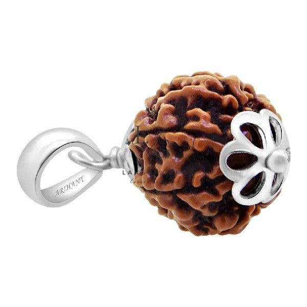 6 Mukhi Rudraksha - Indonesia - Image 3