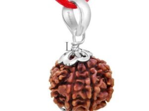 8 Mukhi Rudraksha - Indonesia