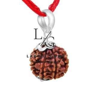 Eight Mukhi Premium Rare