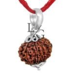 Twelve Mukhi Premium Rare