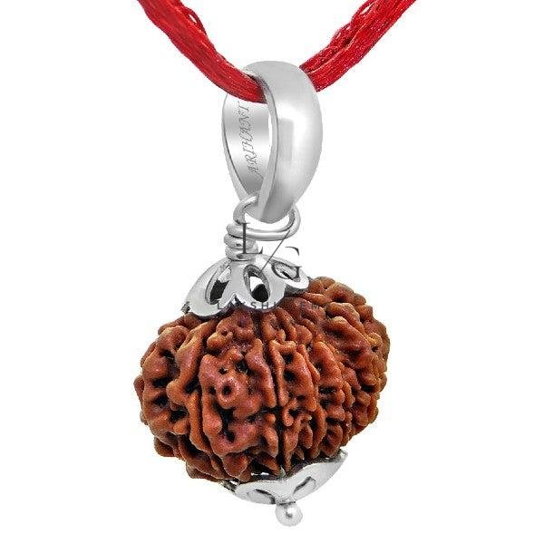 12 Faced Rudraksha - Nepal
