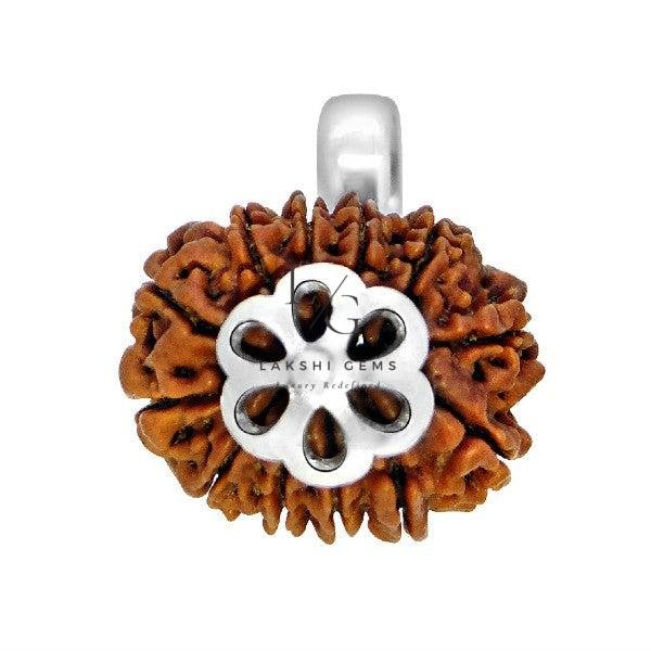 12 Faced Rudraksha - Nepal - Image 2
