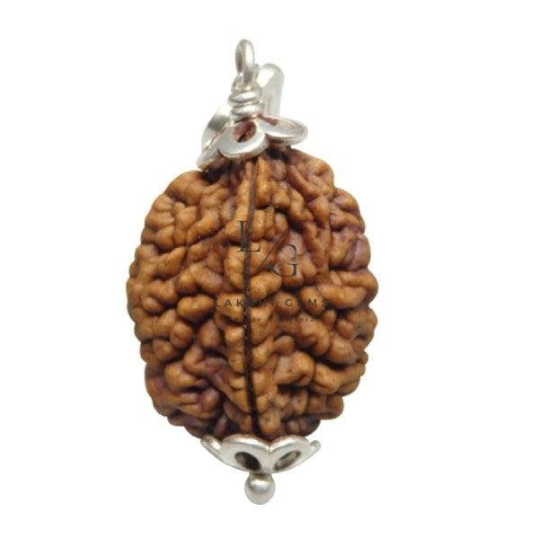2 Mukhi Rudraksha