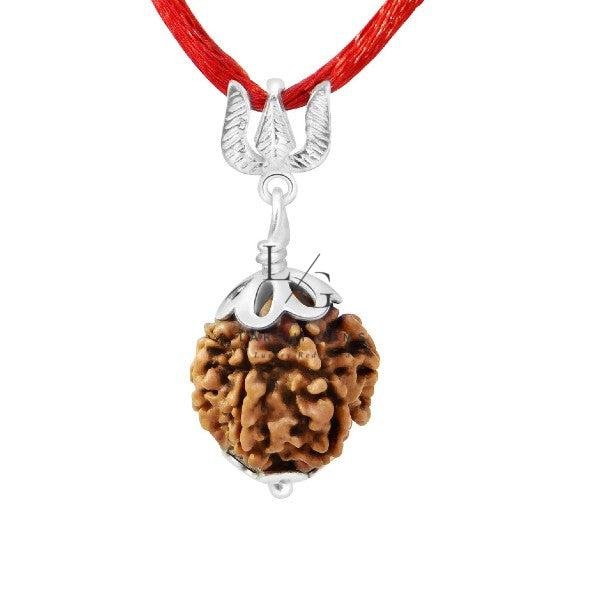 4 Faced Rudraksha - Nepal