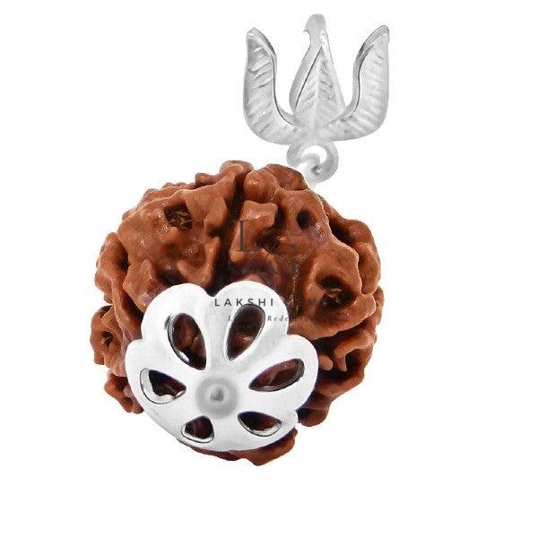 4 Faced Rudraksha - Nepal - Image 3