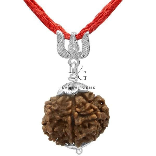 7 Faced Rudraksha - Nepal