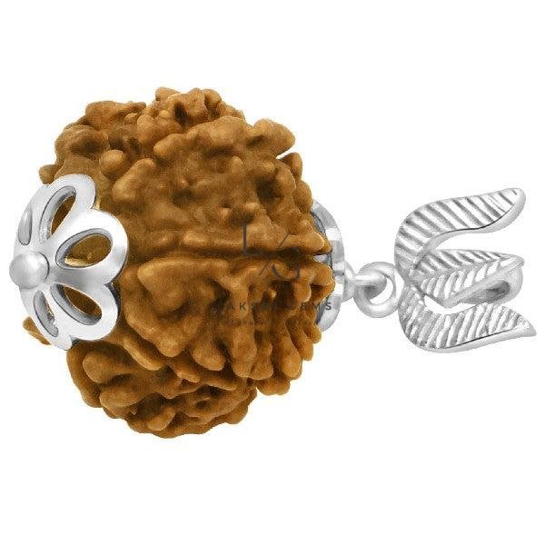 7 Faced Rudraksha - Nepal - Image 3