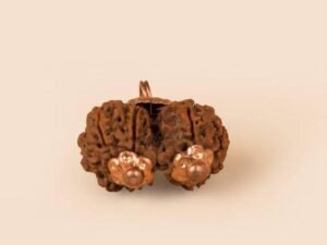 Gauri Shankar Rudraksha Premium Rare
