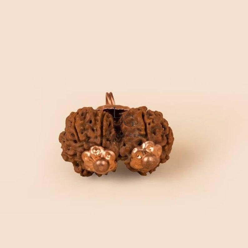 Gauri Shankar Rudraksha - Nepal