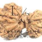 Gauri Shankar Ganesh Rudraksha Premium Rare